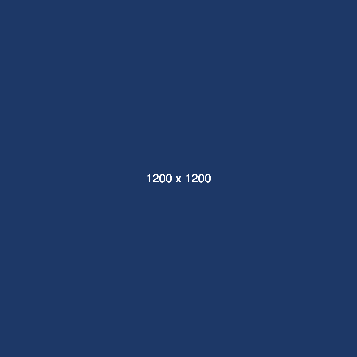 dummy_1200x1200_ffffff_1D3867